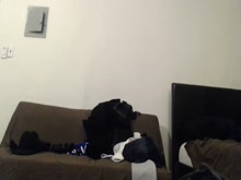 Guarda brent_ray_fraser's Cam Show @ Chaturbate 25/02/2016